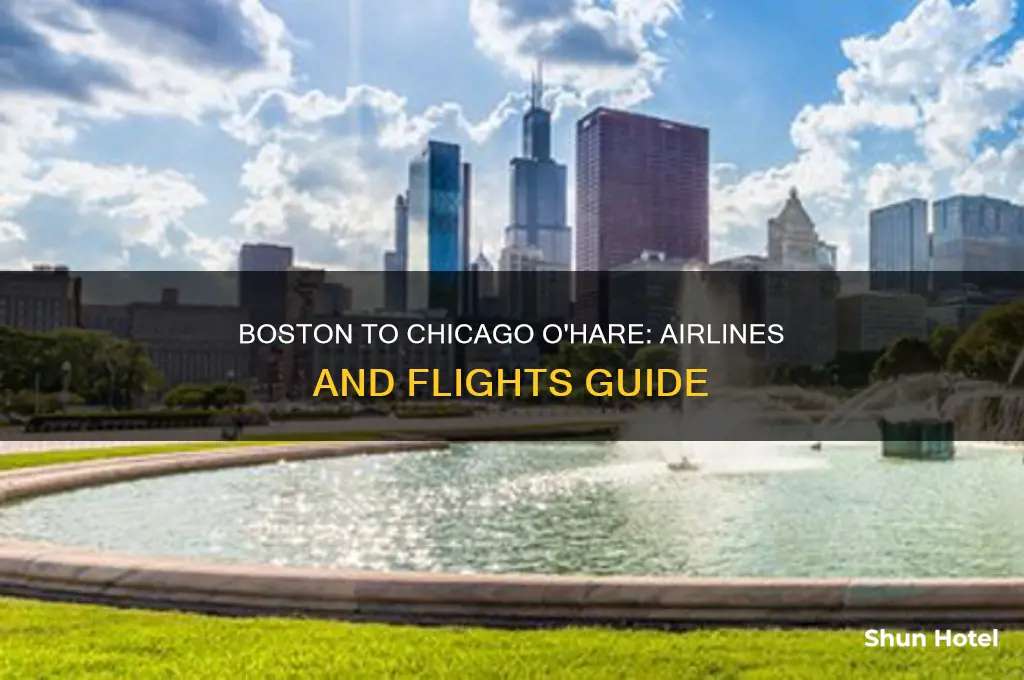 who flies from boston to chicago o