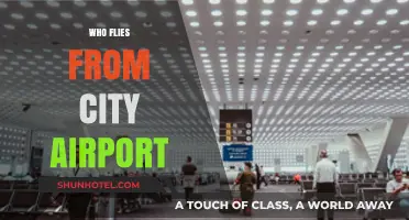 Who Flies from City Airport? Exploring Passengers and Destinations