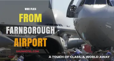 Who Uses Farnborough Airport: Uncovering Its Exclusive Passenger Base