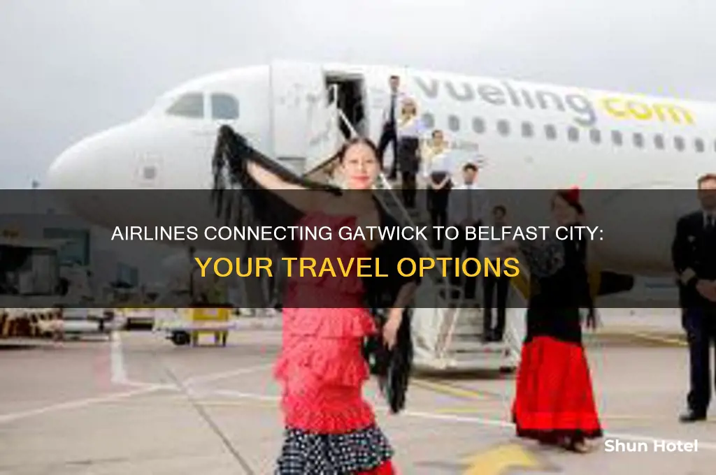 who flies from gatwick to belfast city airport