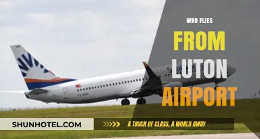 Who Flies from Luton Airport? Exploring Airlines and Destinations