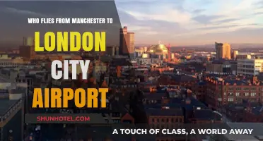 Manchester to London City: Airlines and Travelers Taking the Route