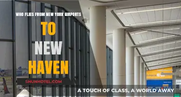 New York to New Haven Flights: Airlines and Airports Guide