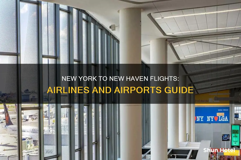who flies from new york airports to new haven