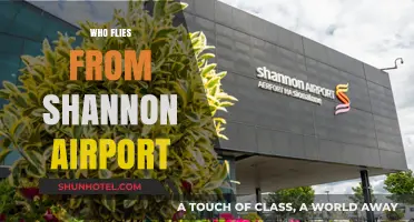 Discover Airlines and Destinations Served by Shannon Airport Ireland