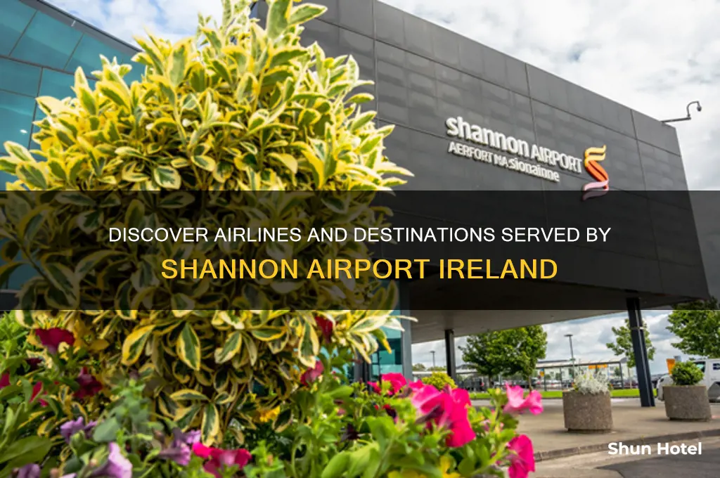who flies from shannon airport
