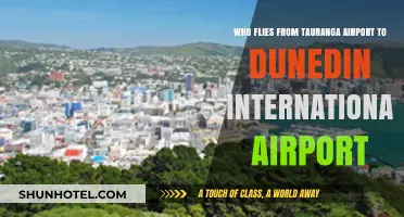 Tauranga to Dunedin Flights: Airlines and Travel Options Explained
