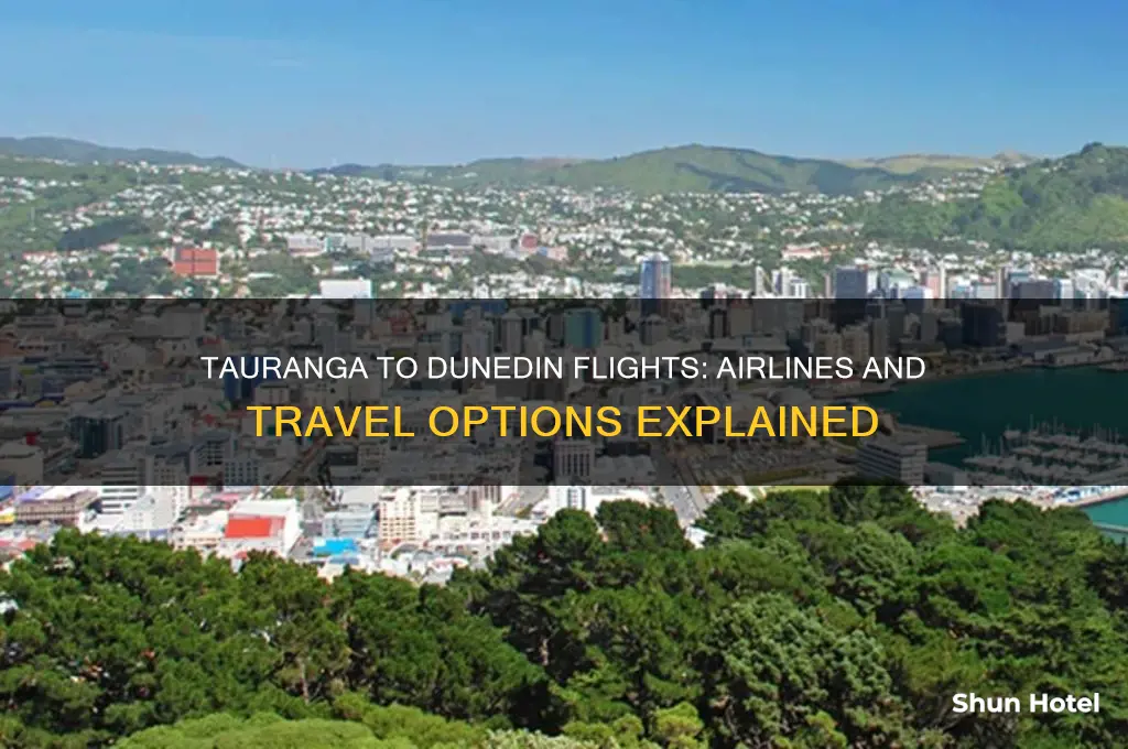 who flies from tauranga airport to dunedin international airport