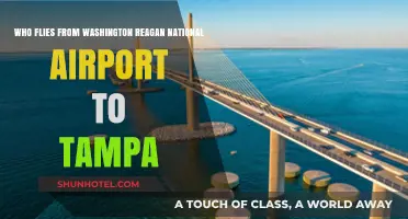 Who Flies from Washington Reagan National Airport to Tampa?