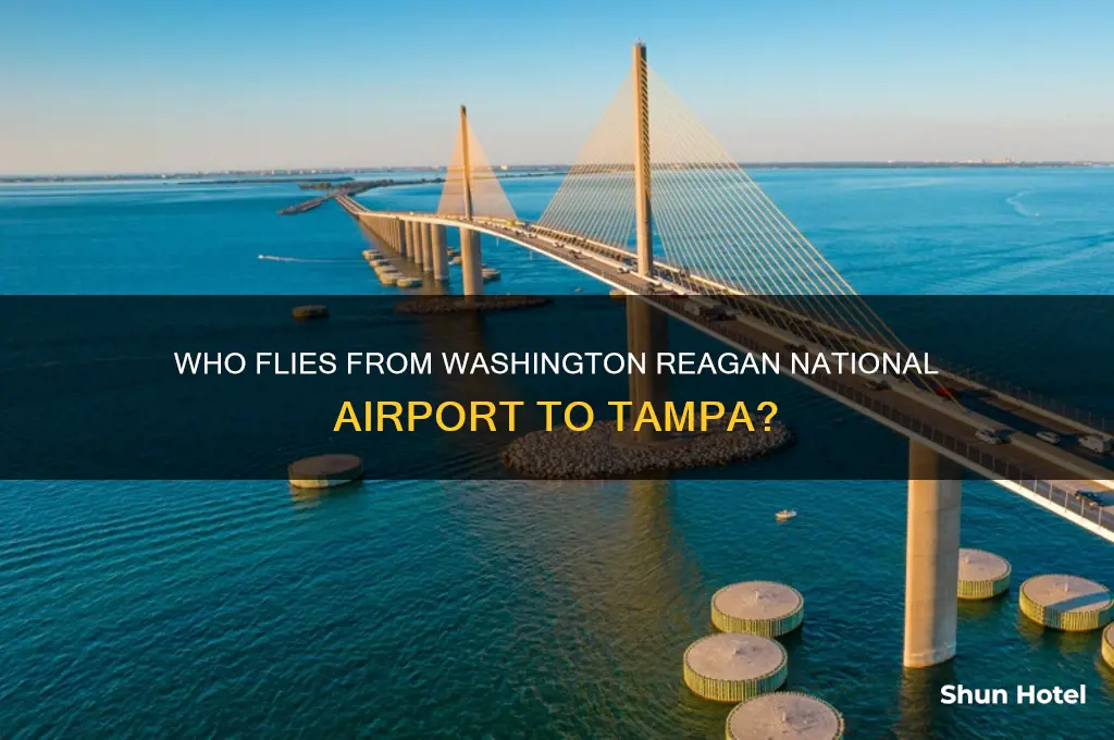 who flies from washington reagan national airport to tampa
