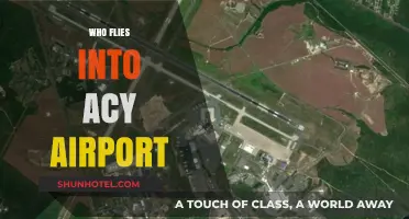 Discovering Airlines and Travelers Using ACY Airport in Atlantic City