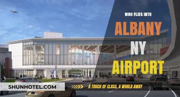 Who Flies into Albany NY Airport? Airlines and Routes Explained