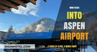 Who Flies into Aspen Airport? Travelers, Celebrities, and Ski Enthusiasts