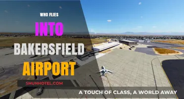 Discovering Airlines and Travelers Using Bakersfield Airport: A Comprehensive Guide