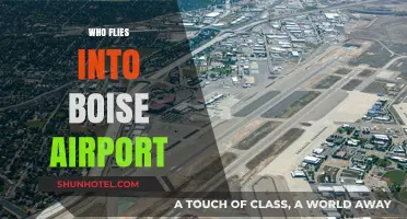Who Flies into Boise Airport? Airlines, Routes, and Passenger Insights