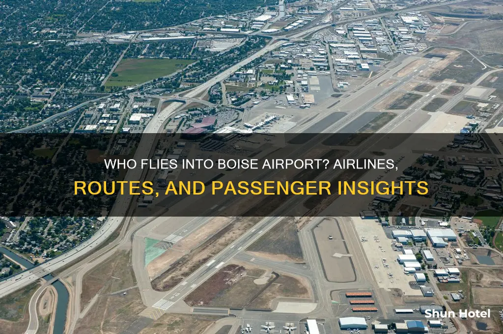who flies into boise airport