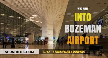 Who Flies into Bozeman Airport: Airlines, Routes, and Passenger Insights