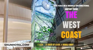 West Coast to Bradley: Airlines Connecting California to Connecticut
