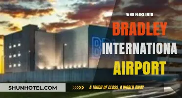 Who Flies into Bradley International Airport? Top Airlines and Destinations