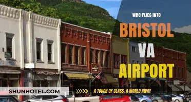Discovering Airlines and Travelers Using Bristol VA Airport