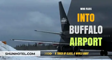 Who Flies into Buffalo Airport? Airlines, Routes, and Passenger Insights