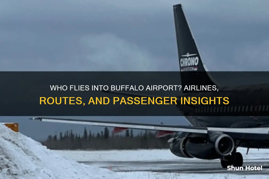 who flies into buffalo airport