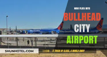 Discovering Bullhead City Airport: Airlines and Travelers Who Fly In