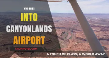 Who Flies into Canyonlands Airport? Travelers and Pilots Explained