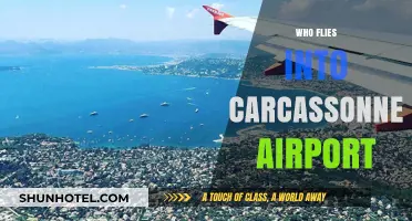 Discovering Carcassonne Airport: Airlines, Destinations, and Travelers