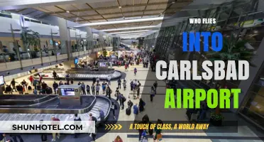 Who Flies into Carlsbad Airport? Travelers, Businesses, and More