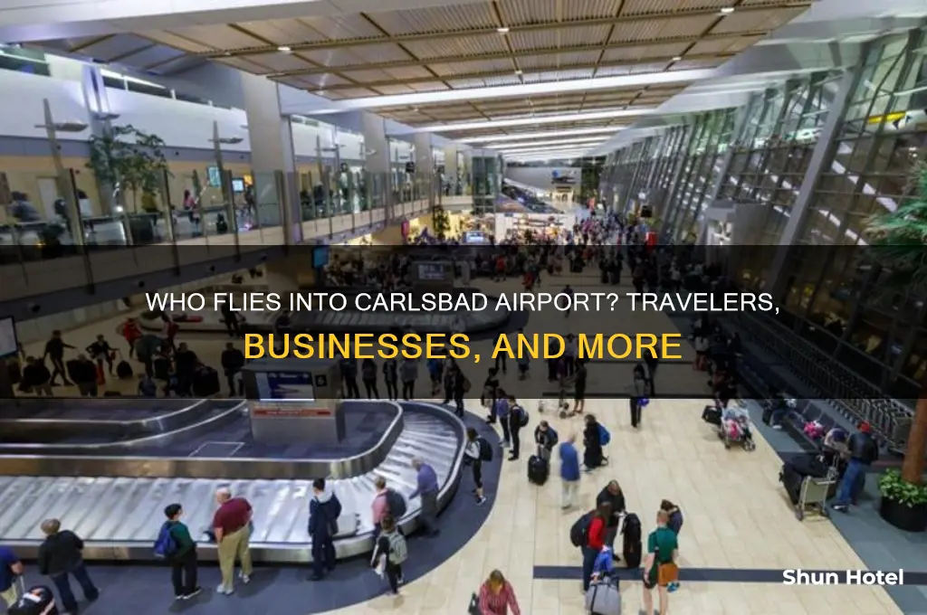 who flies into carlsbad airport