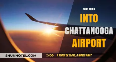 Discovering Airlines and Travelers at Chattanooga Airport: Who Flies In?