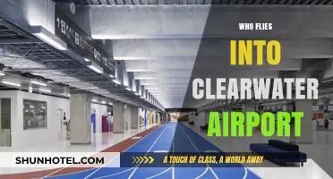 Discovering Airlines and Travelers Using Clearwater Airport Regularly