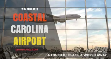 Discovering Coastal Carolina Airport's Key Airlines and Passenger Traffic
