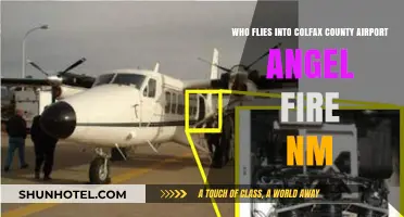 Who Flies into Colfax County Airport Angel Fire NM?