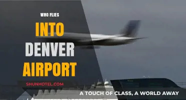 Who Flies into Denver Airport? Airlines, Routes, and Passenger Insights