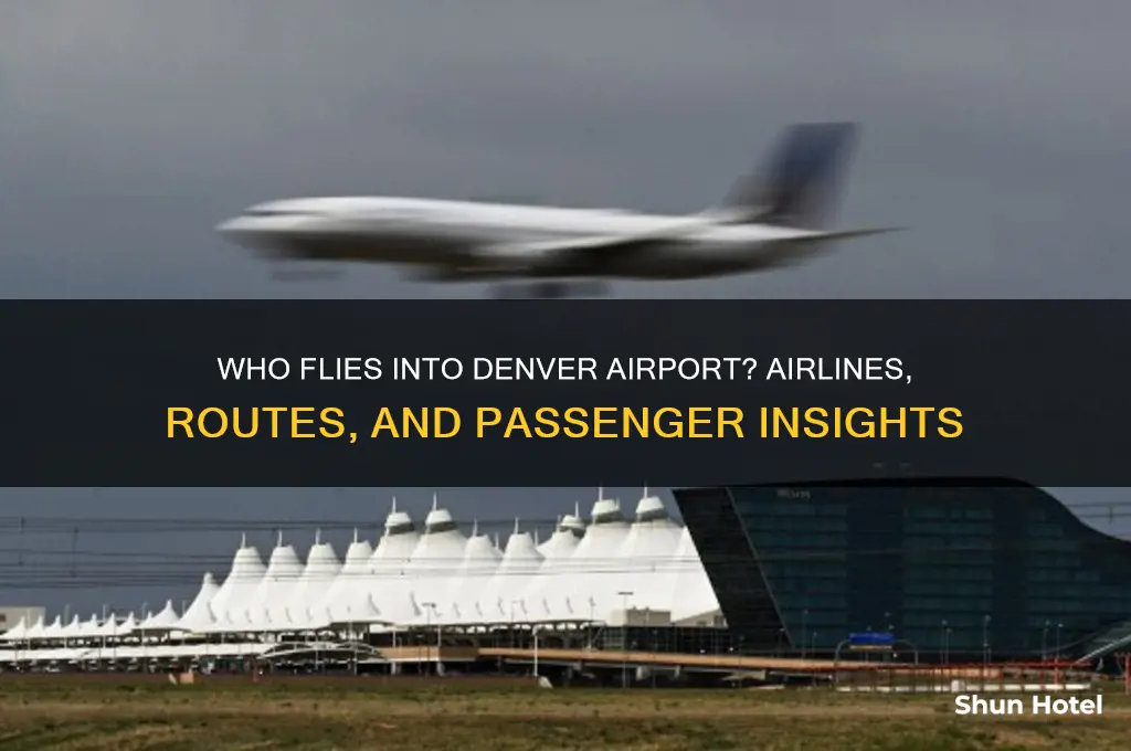 who flies into denver airport