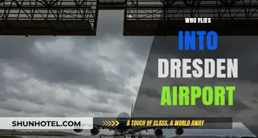 Discovering Dresden: Airlines and Travelers Using Dresden Airport