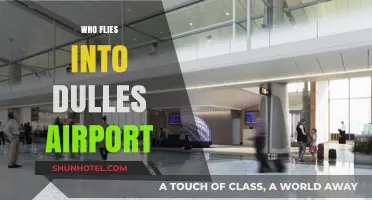 Who Flies into Dulles Airport? Airlines, Destinations, and Passenger Insights