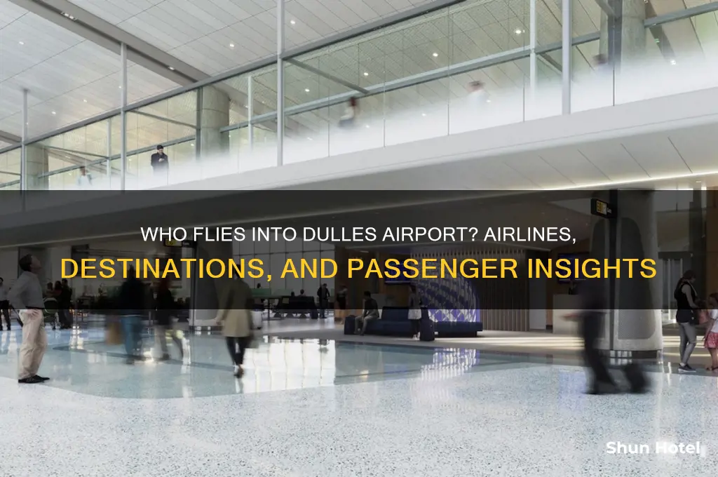 who flies into dulles airport