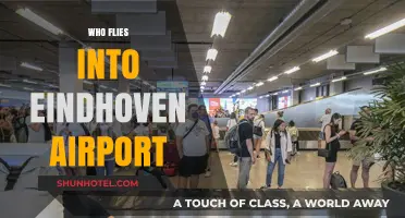 Discovering Travelers: Who Flies into Eindhoven Airport Regularly?