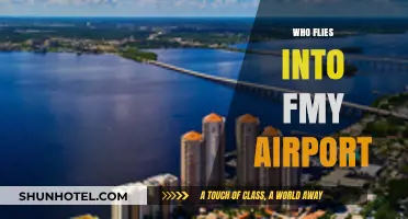 Who Flies into FMY Airport? Exploring Southwest Florida's Key Carriers