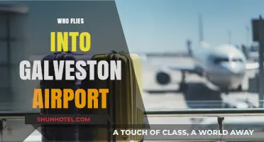 Discovering Galveston Airport: Airlines and Travelers Flying In