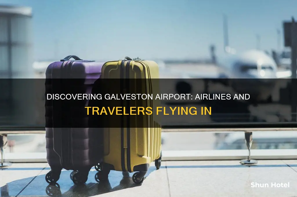 who flies into galveston airport