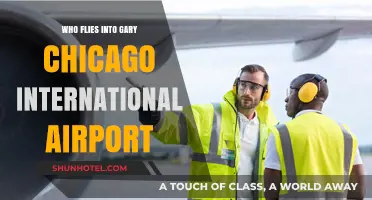 Who Uses Gary Chicago International Airport? A Passenger Breakdown