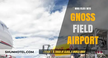 Who Uses Gnoss Field Airport? Exploring Its Visitors and Operations
