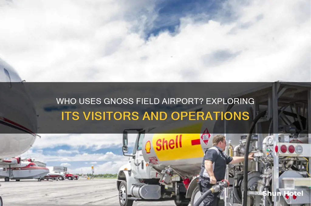 who flies into gnoss field airport