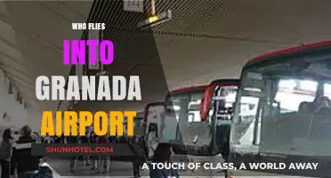 Discover Airlines and Travelers Using Granada Airport as Hub