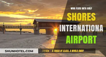 Discovering Gulf Shores International Airport's Top Airlines and Visitors