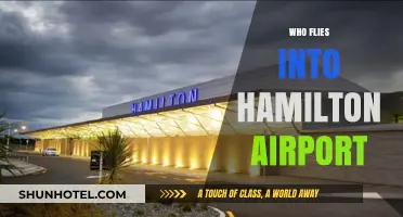 Who Flies into Hamilton Airport? Airlines and Routes Explained